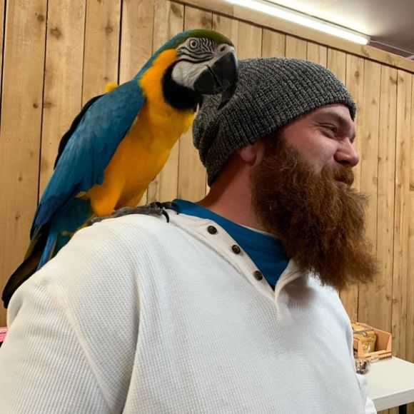 Meet your Posher, Johnny - Picture 1 of 1